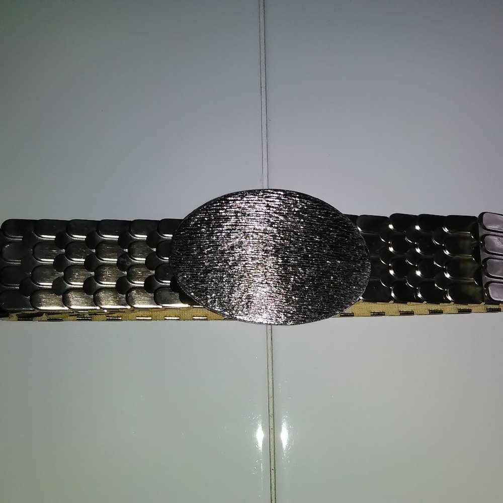 Vintage Metal armor style belt.